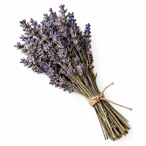 Lavendel
